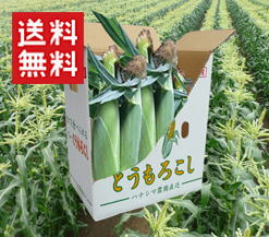 とうもろこし箱入り