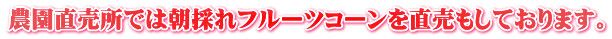 農園直売所では朝採れフルーツコーンを直売もしております。