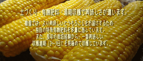 適期収穫で美味しさが違います